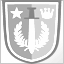 Icon for Distinguished Combat Service