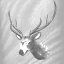 Icon for Axis Deer Trophy Legend
